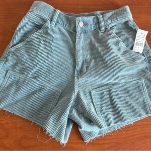 Pacsun Heaven Blue Corduroy Cutoff Workwear Shorts